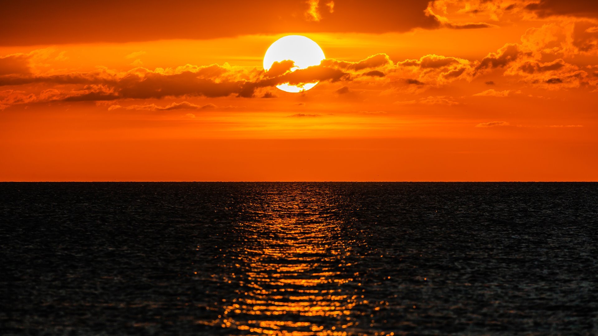 Sea Winds 0405 in Marco Island, FL