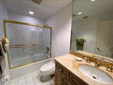 Master Bathroom 2